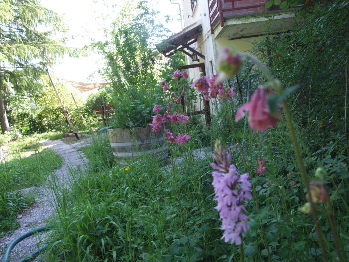 סאסטה Vacanze Toscane In The Country - Villa Agrifogli מראה חיצוני תמונה