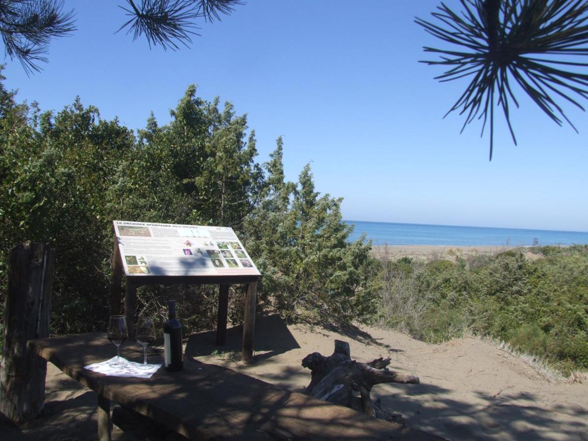 סאסטה Vacanze Toscane In The Country - Villa Agrifogli מראה חיצוני תמונה
