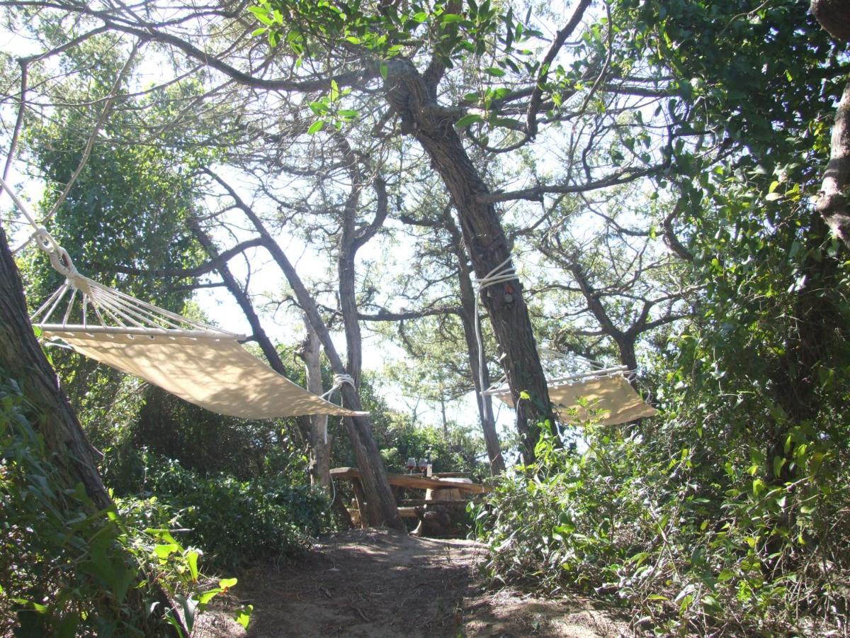 סאסטה Vacanze Toscane In The Country - Villa Agrifogli מראה חיצוני תמונה